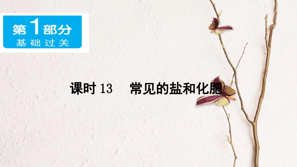 广东省中考化学 第一部分 基础过关 课时13 常见的盐和化肥课件_第1页