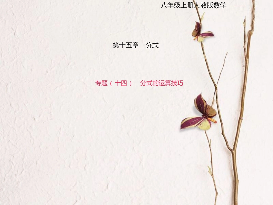 八年级数学上册 专题复习（十四）分式的运算技巧课件 （新版）新人教版_第1页