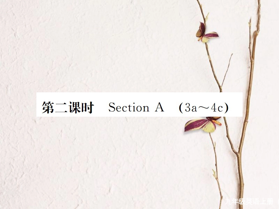 （河北专）九年级英语全册 Unit 5 What are the shirts made of（第2课时）习题课件 （新）人教新目标版_第1页