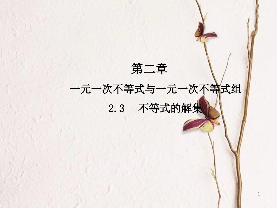 八年级数学下册 2 一元一次不等式与一元一次不等式组 2.3 不等式的解集课件 （新版）北师大版_第1页
