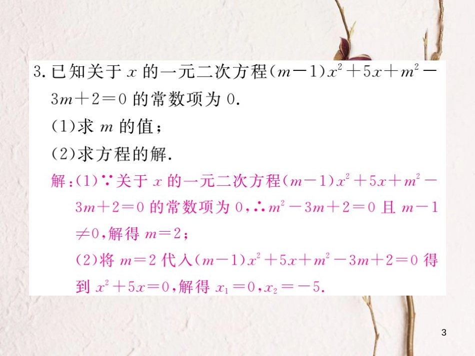 江西省中考数学 易错易混专题 一元二次方程中的易错问题课件_第3页