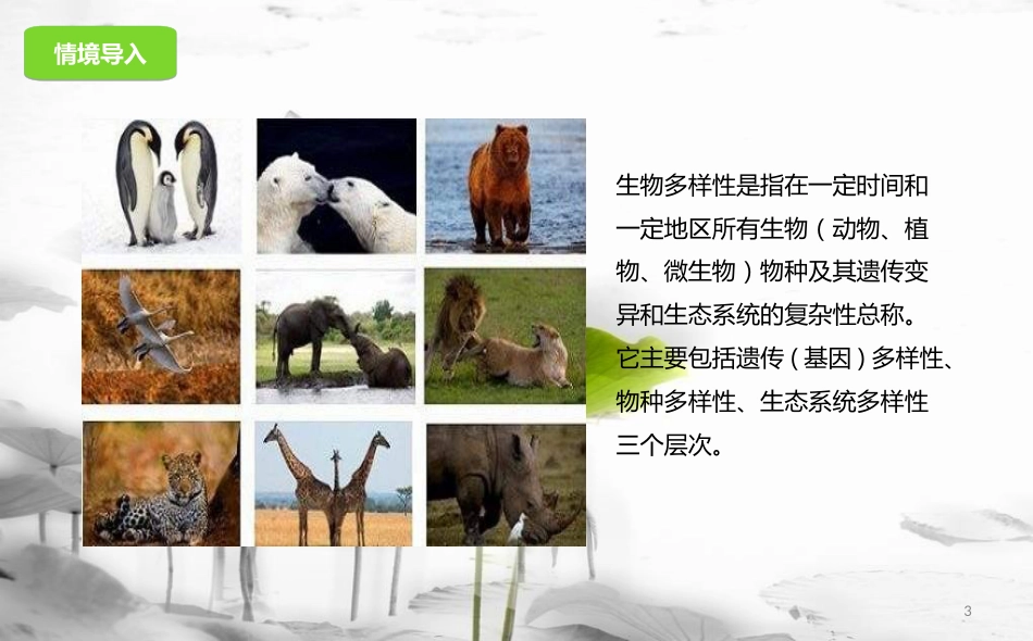 八年级生物下册 第13章 生物的多样性章末复习课件 北京课改版[共25页]_第3页