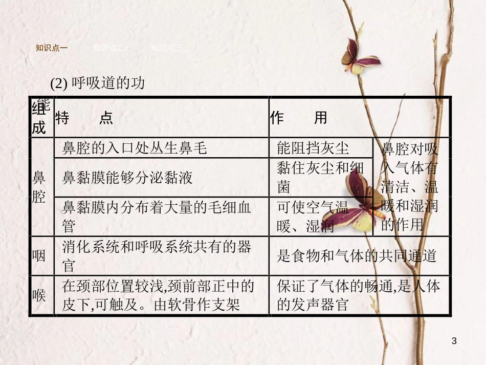 七年级生物下册 3.2.1人体与外界的气体交换课件 （新版）济南版_第3页