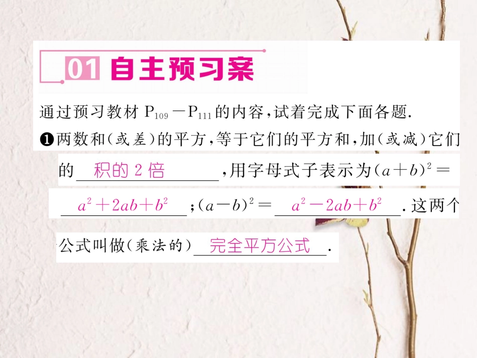 八年级数学上册 14.2.2 完全平方公式课件 （新版）新人教版[共18页]_第2页