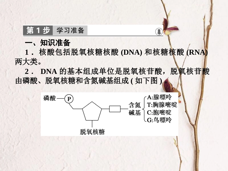 高中生物 第三章 基因的本质 第2节 DNA分子的结构课件 新人教版必修2[共36页]_第2页