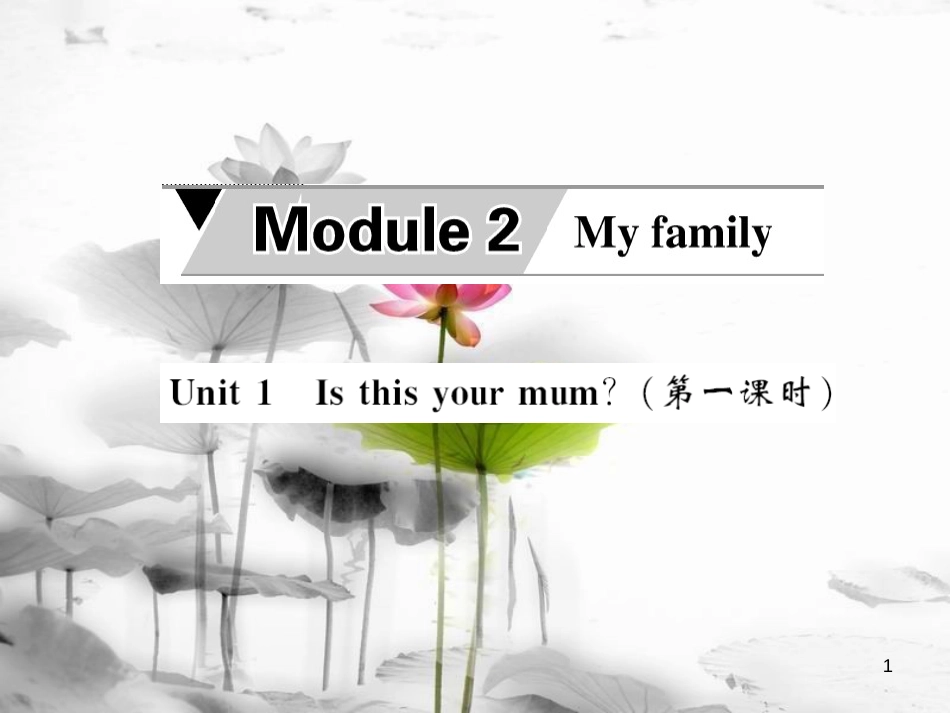 krfAAA七年级英语上册 Module 2 My family Unit 1 Is this your mum（第1课时）课件 （新版）外研版_第1页