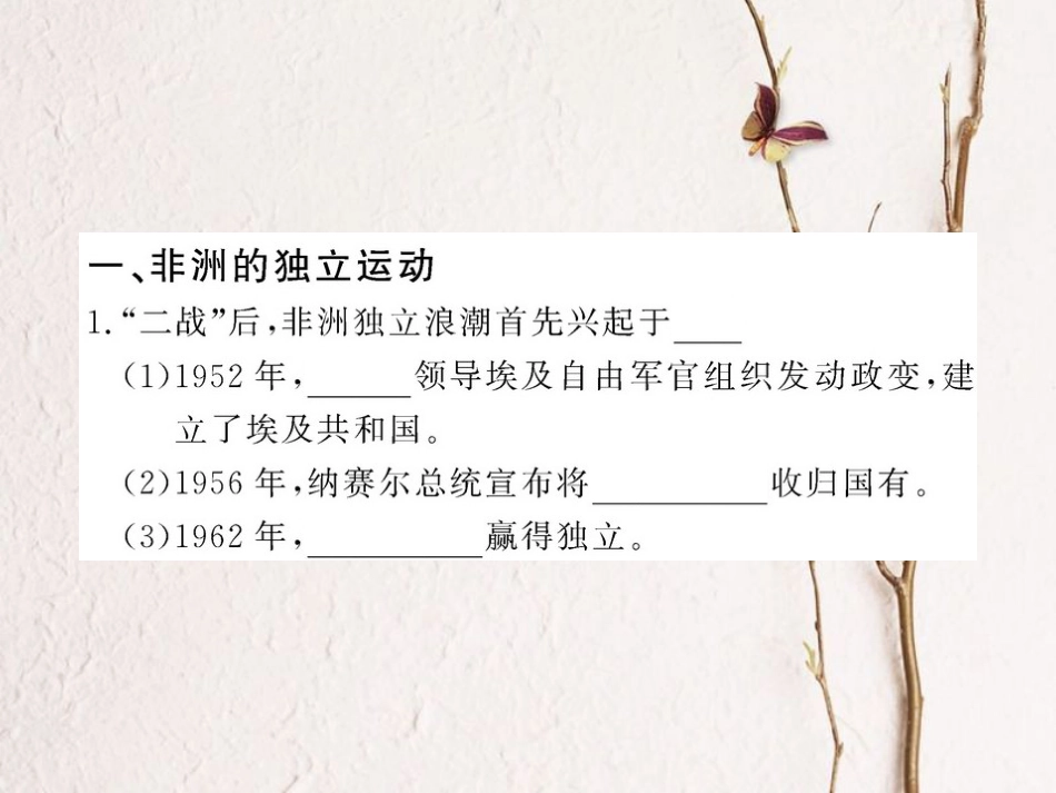 九年级历史下册 第六单元 第15课 非洲独立运动和拉美国家维护国家权益的斗争课件3 岳麓版[共27页]_第3页