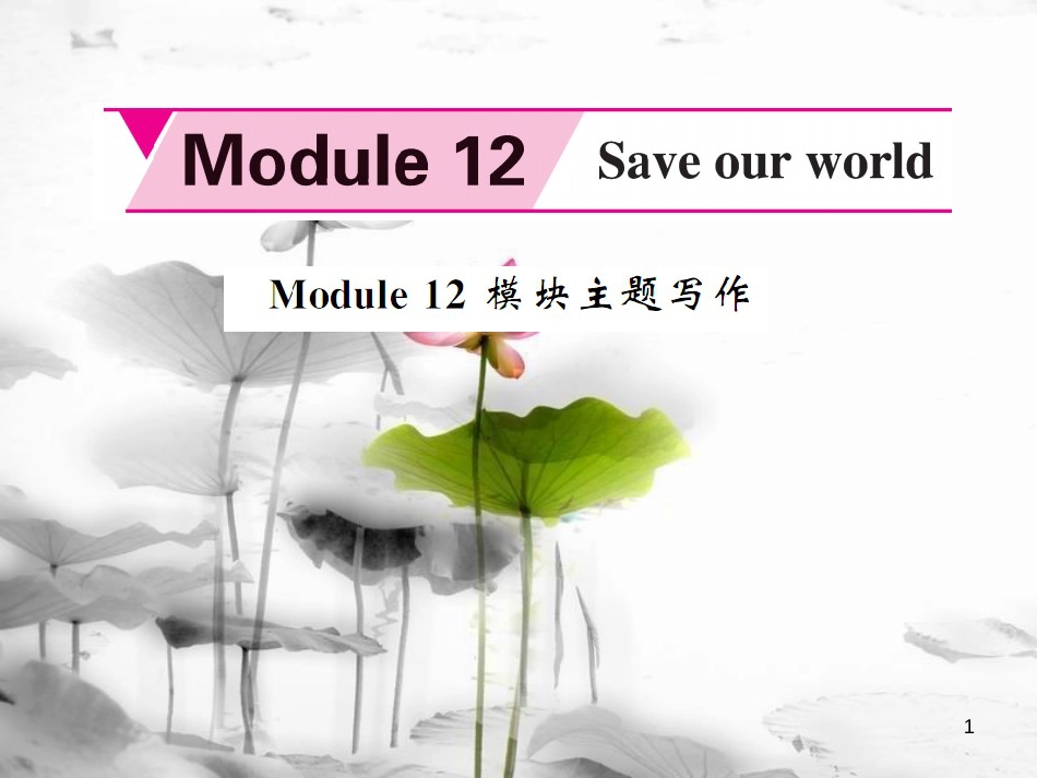 xdbAAA九年级英语上册 Module 12 Save our world主题写作课件 （新版）外研版_第1页