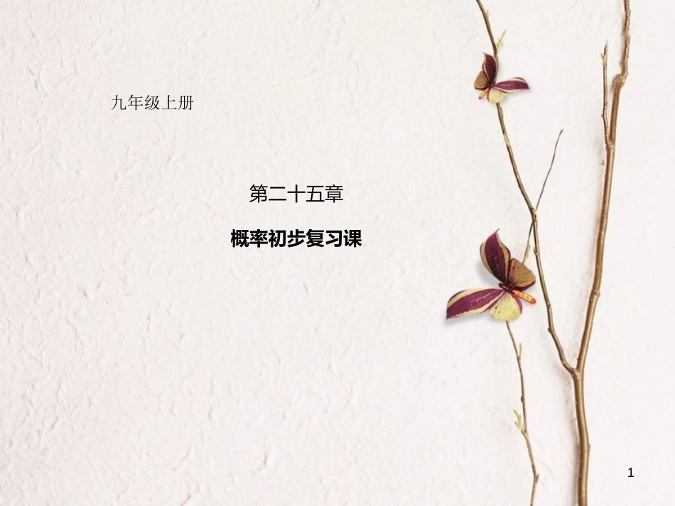 九年级数学上册 25 概率初步复习课件 （新版）新人教版[共28页]_第1页