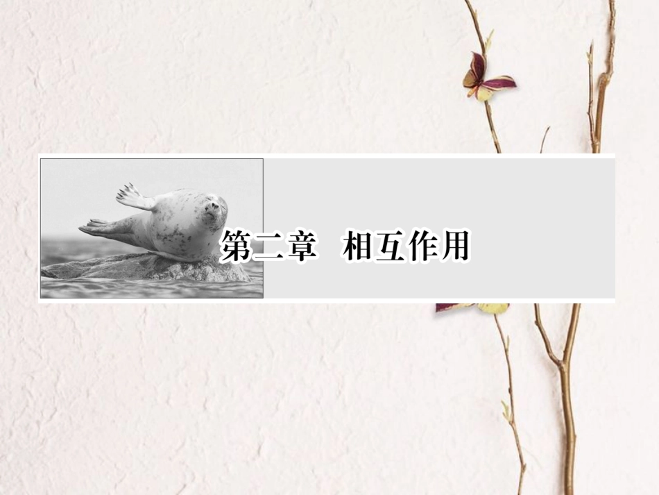 （新课标）高考物理一轮复习 第二章 相互作用 第4讲 受力分析 共点力的平衡课件_第1页