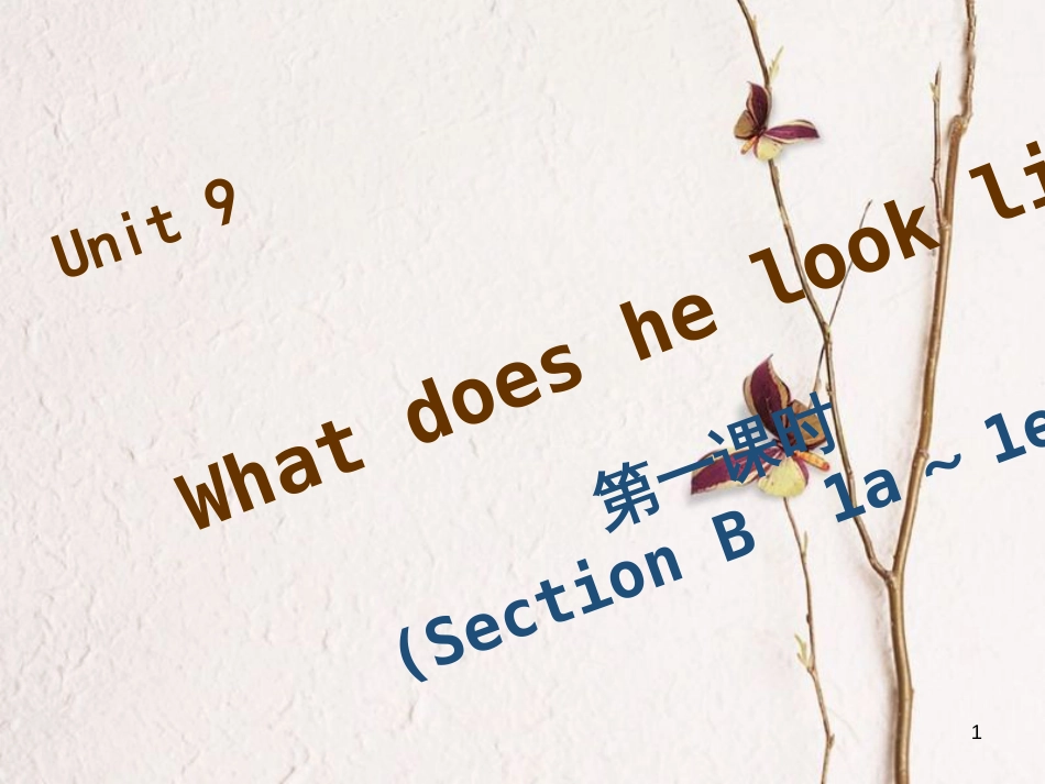 七年级英语下册 Unit 9 What does he look like（第4课时）Section B（1a-1e）习题课件 （新版）人教新目标版_第1页