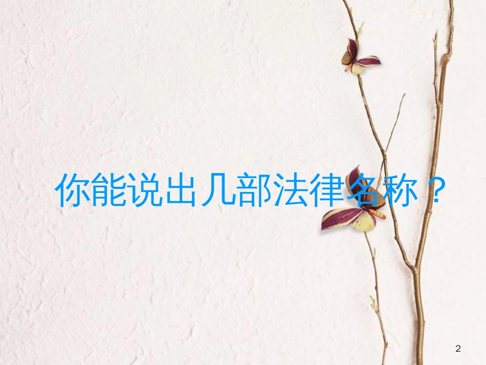 八年级政治下册 第五单元 我是中国公民 5.3 宪法保障公民权利课件 粤教版_第2页