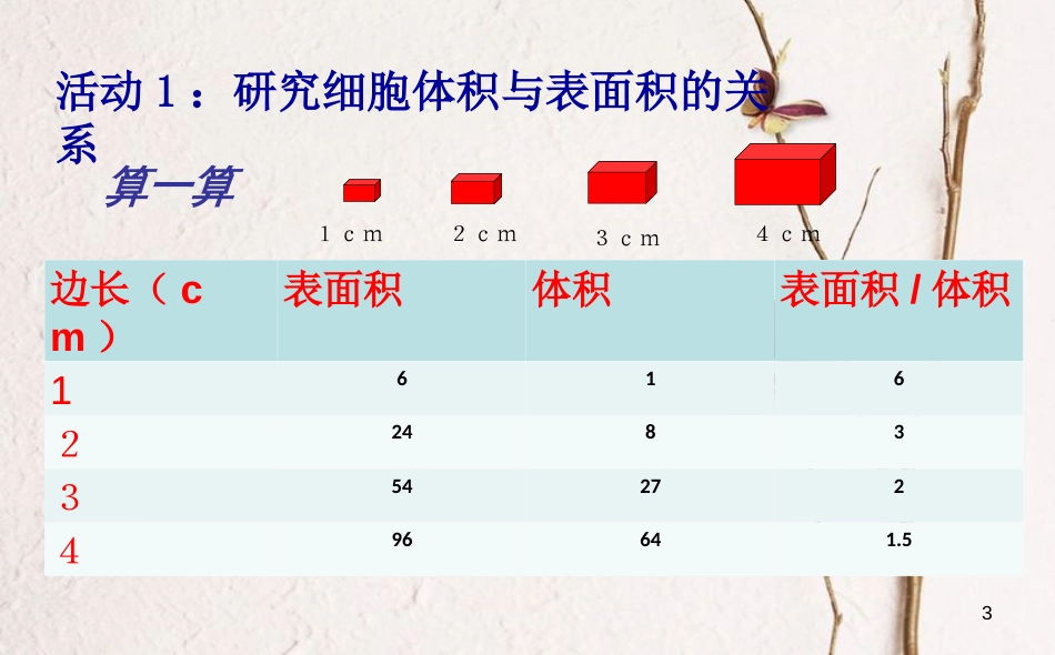 七年级生物上册 2.3.3 细胞通过分裂而增殖课件 （新版）北师大版[共16页]_第3页