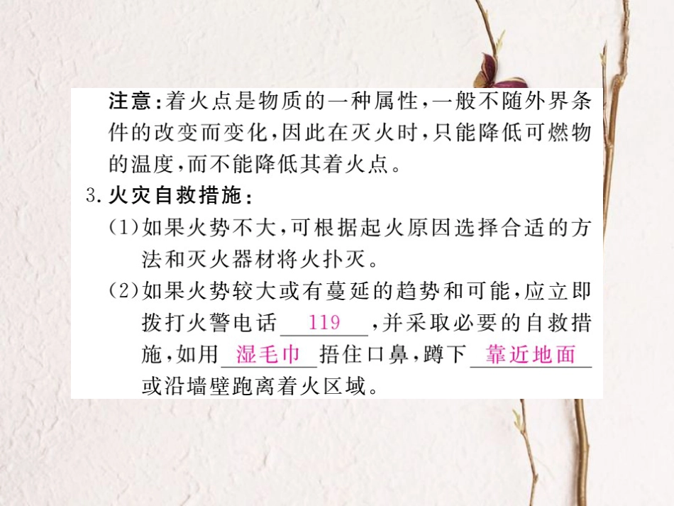 （贵州专）九年级化学上册 第七单元 课题1 燃烧和灭火复习课件 （新）新人教版_第3页