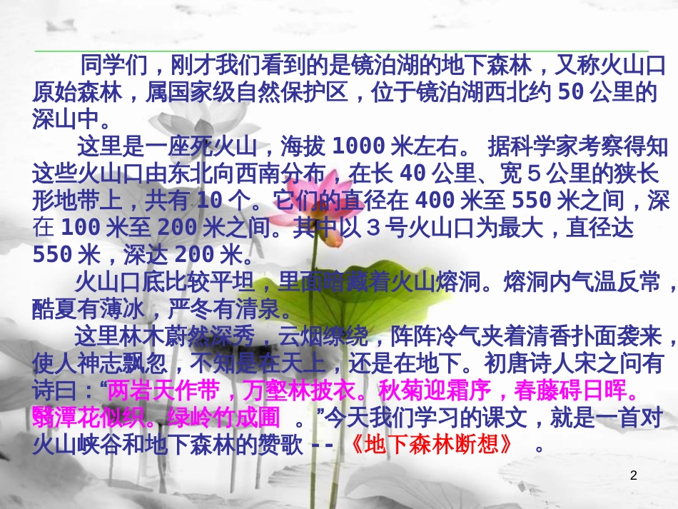 安徽省合肥市育英学校九年级语文下册 第三单元 第11课《地下森林断想》课件 新人教版_第2页
