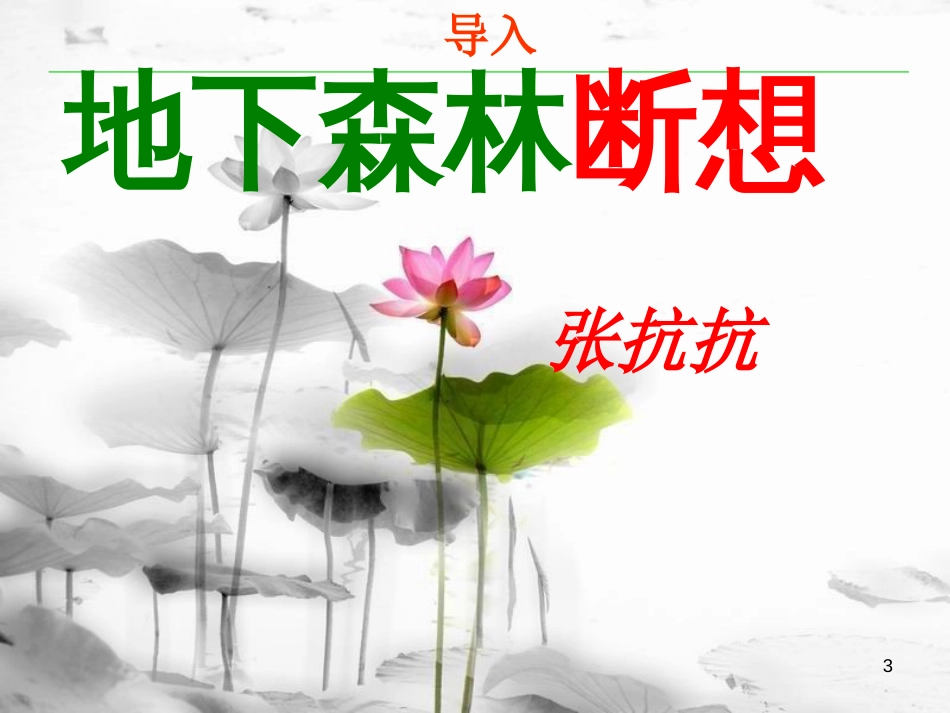 安徽省合肥市育英学校九年级语文下册 第三单元 第11课《地下森林断想》课件 新人教版_第3页