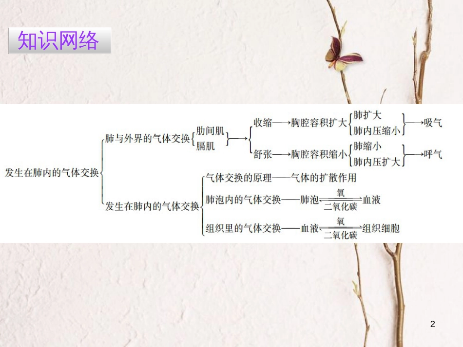 广东省七年级生物下册 第3章 第二节 发生在肺内的气体交换导练课件 （新版）新人教版_第2页