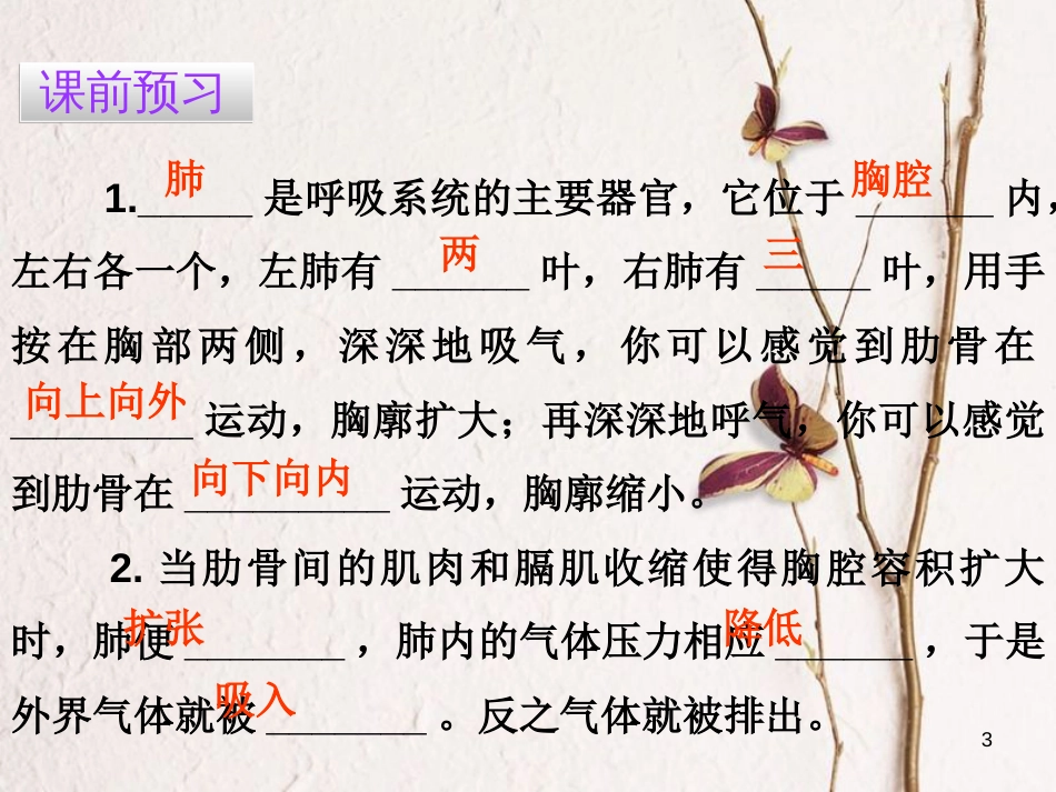 广东省七年级生物下册 第3章 第二节 发生在肺内的气体交换导练课件 （新版）新人教版_第3页