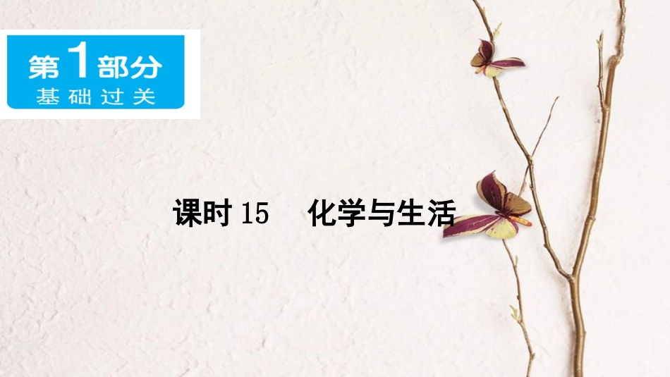 广东省中考化学 第一部分 基础过关 课时15 化学与生活课件_第1页