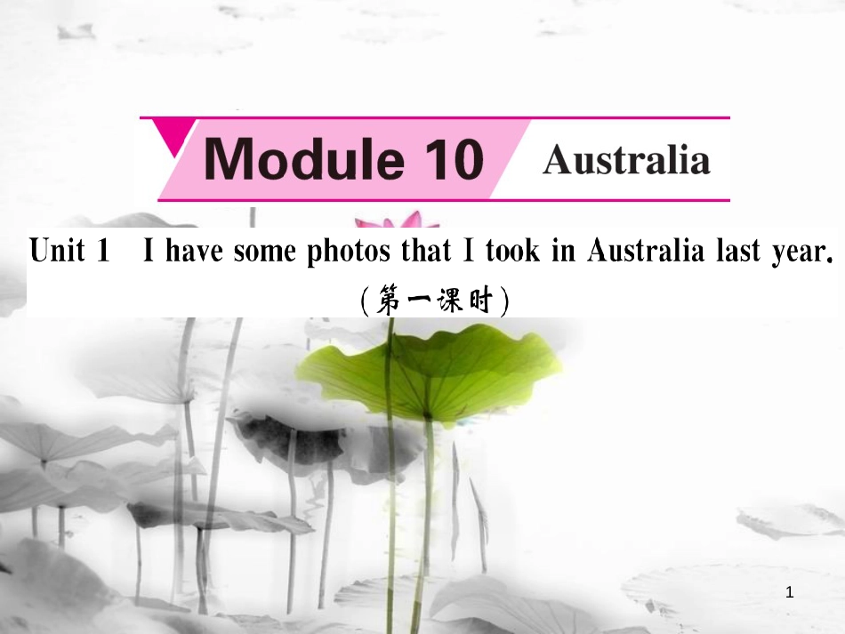 jazAAA九年级英语上册 Module 10 Australia Unit 1 I have some photos that I took in Australia last year（第1课时）课件 （新版）外研版_第1页