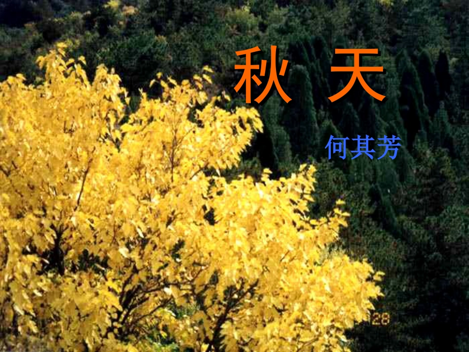 七年级语文上册 14《秋天》课件 （新版）新人教版[共29页]_第2页