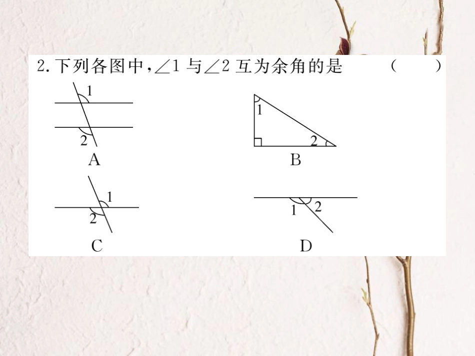 八年级数学上册 11.2.1 第2课时 直角三角形的两锐角互余习题课件 （新版）新人教版_第3页