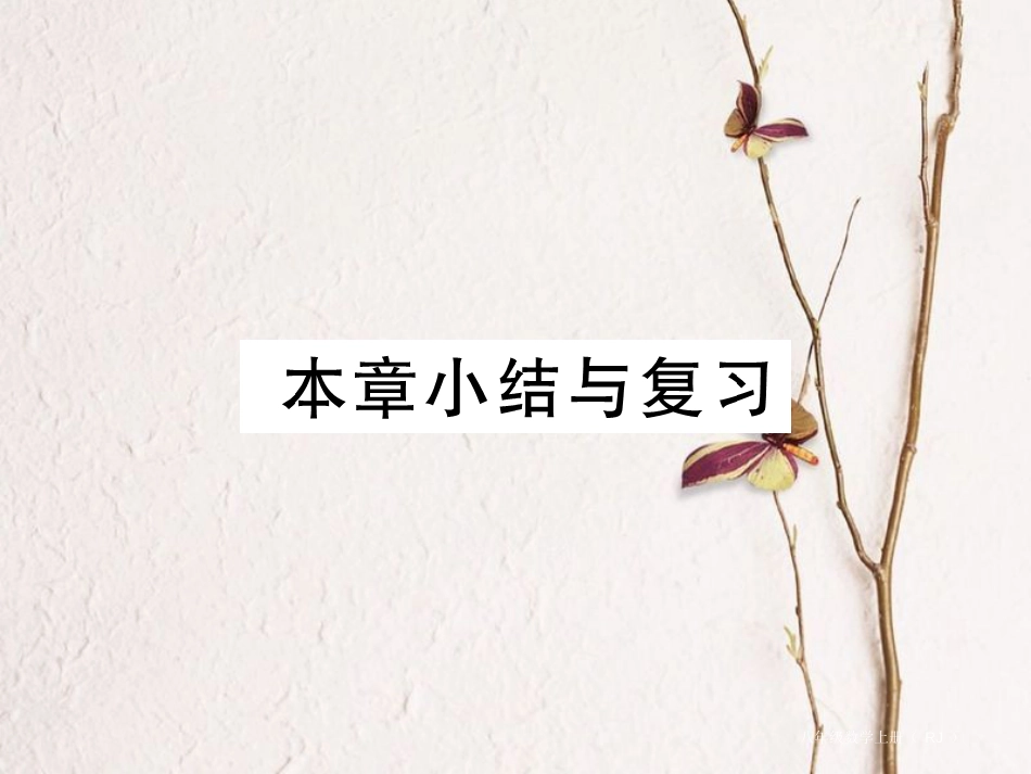 八年级数学上册 11 三角形小结与复习课件 （新版）新人教版_第1页