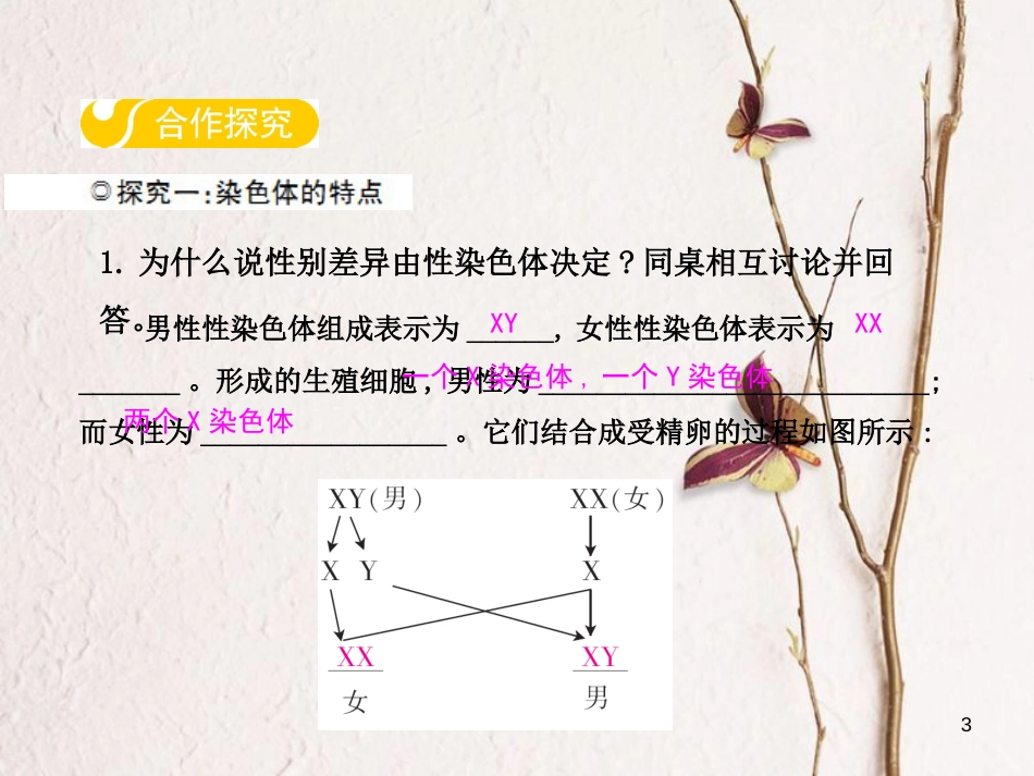 八年级生物下册 第六单元 第二章 第一节 遗传（第3课时）课件 （新版）冀教版_第3页