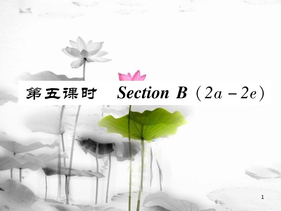 八年级英语上册 Unit 1 Where did you go on vacation（第5课时）Section B（2a-2e）同步作业课件 （新版）人教新目标版_第1页