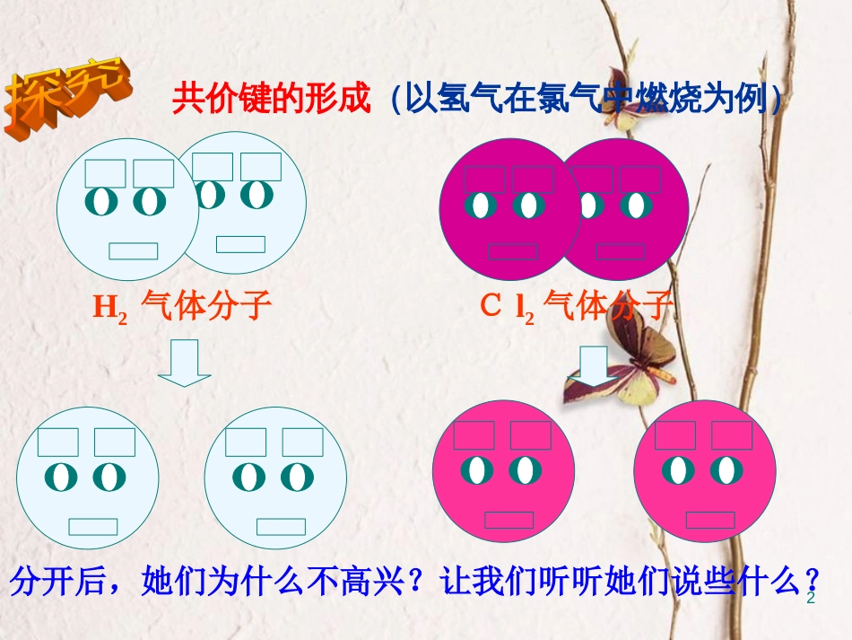 高中化学 专题1 微观结构与物质的多样性 1.2 微粒之间的相互作用力——共价键课件 苏教版必修2[共25页]_第2页