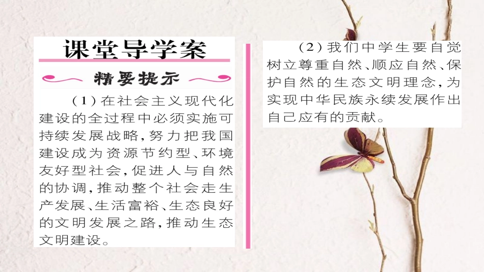 九年级政治全册 第二单元 了解祖国 爱我中华 第四课 了解基本国策与发展战略 第3框 实施可持续发展战略同步作业课件 新人教版[共33页]_第2页