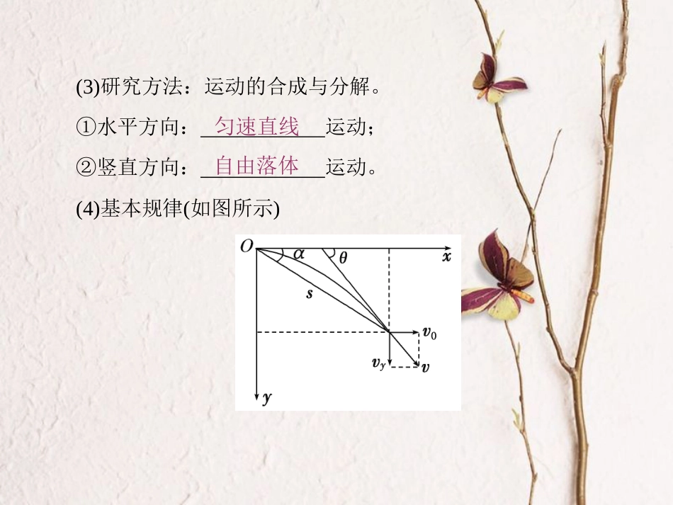 （新课标）高考物理一轮复习 第四章 曲线运动 万有引力与航天 第2讲 抛体运动课件_第2页