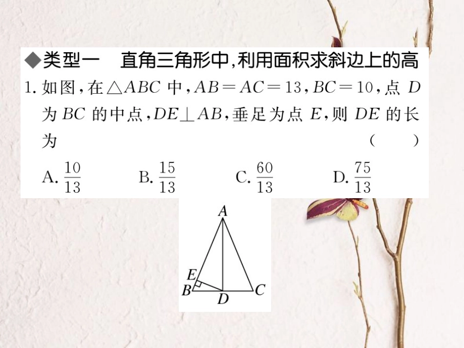 八年级数学上册 解题技巧专题 勾股定理与面积问题课件 （新版）北师大版_第1页