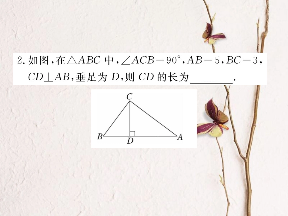 八年级数学上册 解题技巧专题 勾股定理与面积问题课件 （新版）北师大版_第2页