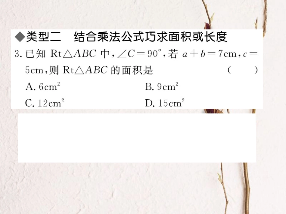 八年级数学上册 解题技巧专题 勾股定理与面积问题课件 （新版）北师大版_第3页