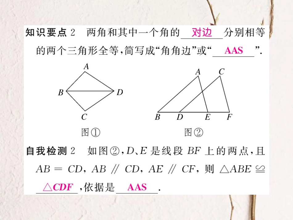 八年级数学上册 13.3 第3课时 运用“角边角”（ASA）及“角角边”（AAS）判定三角形全等习题课件 （新版）冀教版[共19页]_第3页