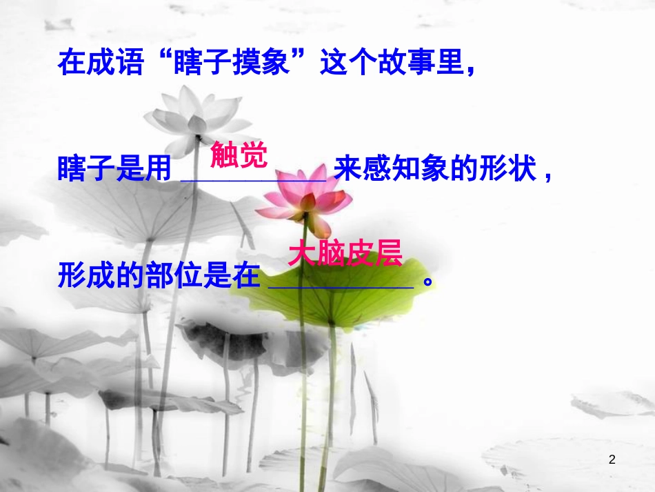 八年级科学下册 3.3《皮肤感觉》课件 （新版）华东师大版[共31页]_第2页