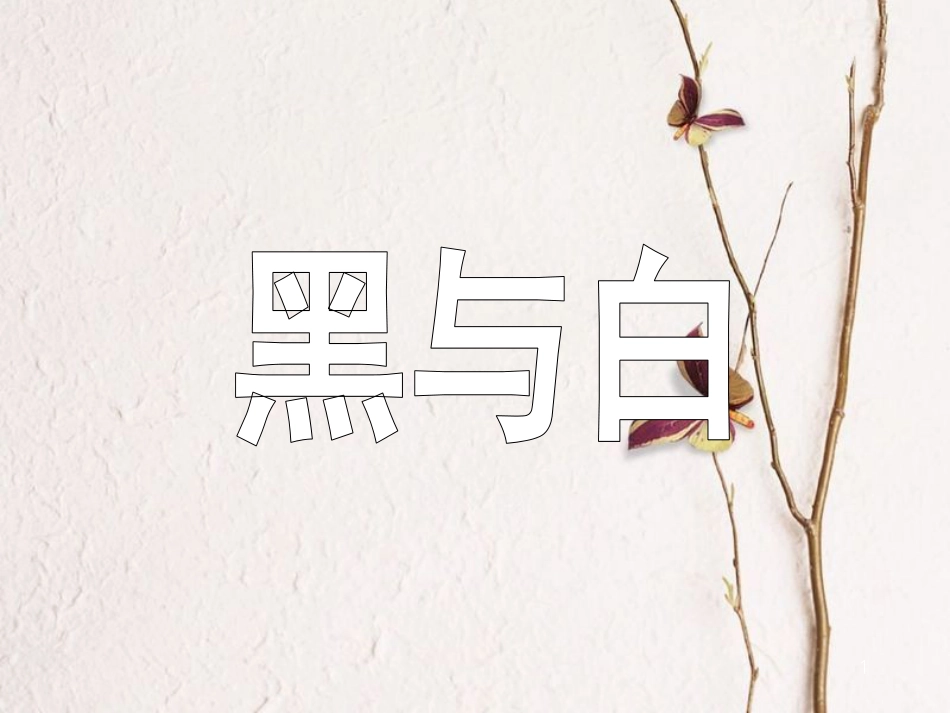 三年级美术上册 第6课 黑与白课件1 新人教版[共38页]_第1页