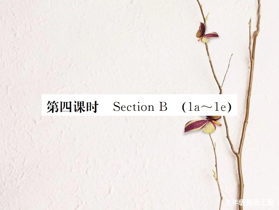 （河北专）九年级英语全册 Unit 5 What are the shirts made of（第4课时）习题课件 （新）人教新目标版_第1页