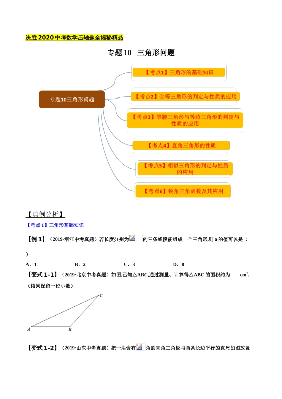 专题10 三角形问题（原卷版）_第1页