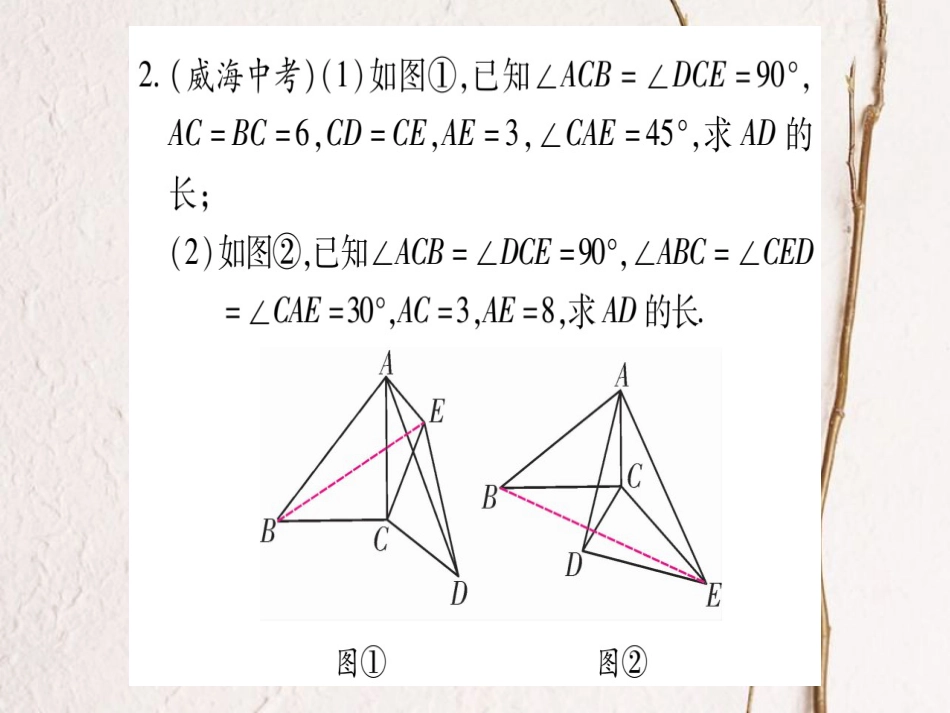 九年级数学上册 小专题（六）利用相似三角形进行探究（计算）课件 （新版）北师大版_第3页