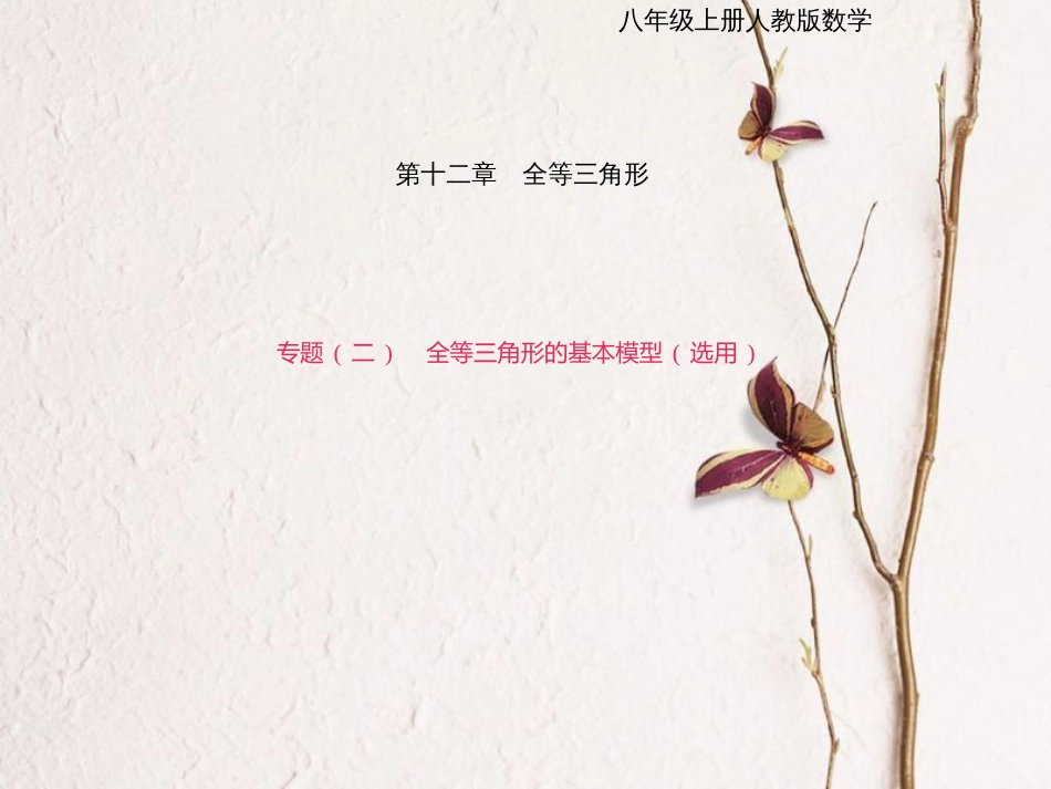 八年级数学上册 专题复习（二）全等三角形的基本模型（选用）课件 （新版）新人教版_第1页