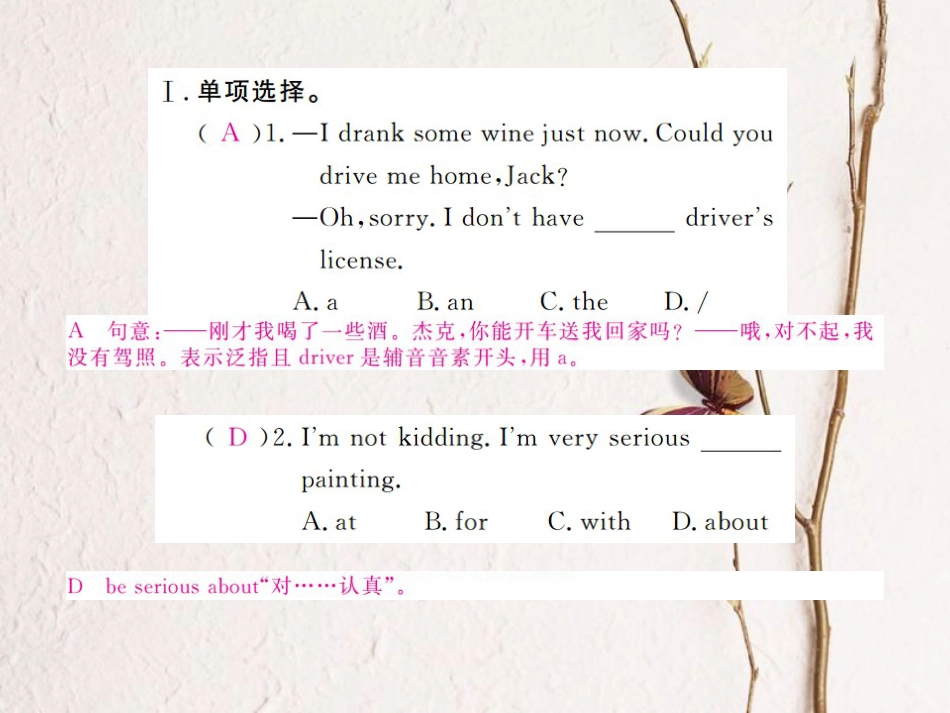 （河北专）九年级英语全册 Unit 7 Teenagers should be allowed to choose their own clothes Self Check习题课件 （新）人教新目标版_第2页