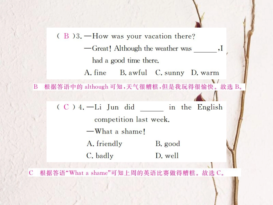 （河北专）九年级英语全册 Unit 7 Teenagers should be allowed to choose their own clothes Self Check习题课件 （新）人教新目标版_第3页