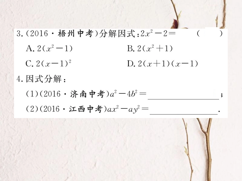 八年级数学上册 14.3.2 第1课时 运用平方差公式因式分解习题课件 （新版）新人教版_第3页