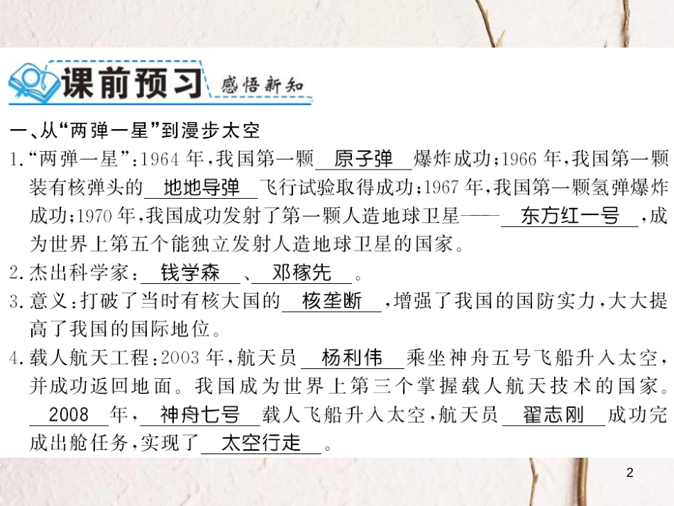 八年级历史下册 第18课 科学技术的成就习题课件 新人教版_第2页