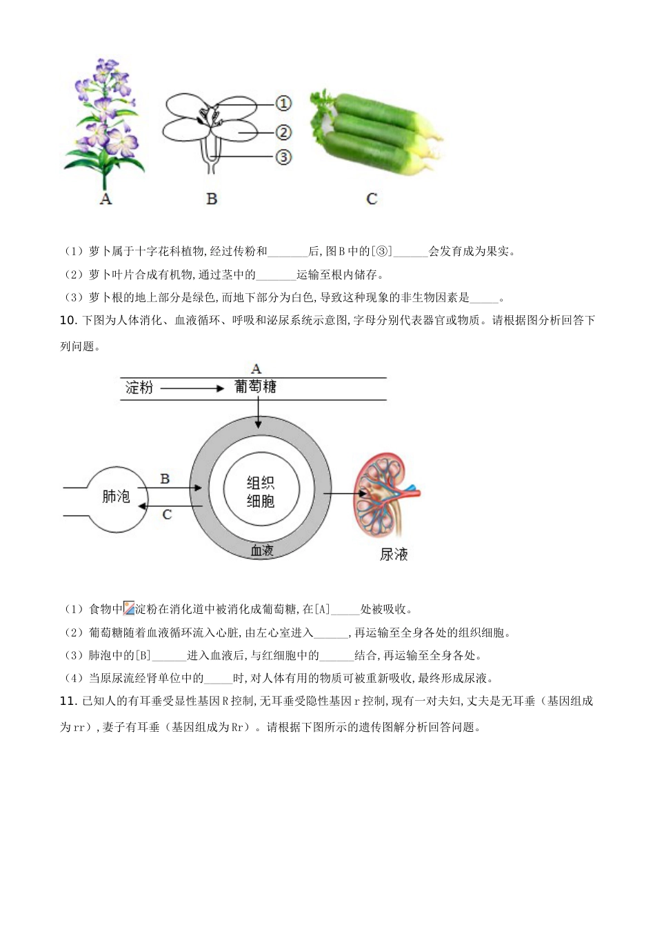 精品解析：甘肃省平凉市2020年中考生物试题（原卷版）_第2页
