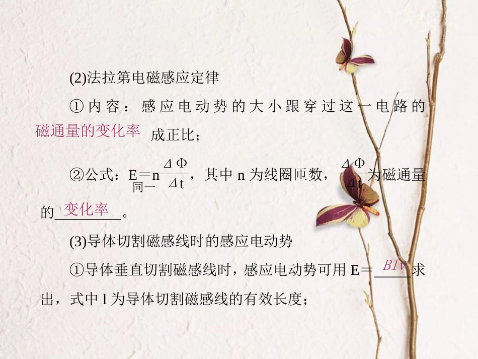 （新课标）高考物理一轮复习 第九章 电磁感应 第2讲 法拉第电磁感应定律 自感和涡流课件_第2页