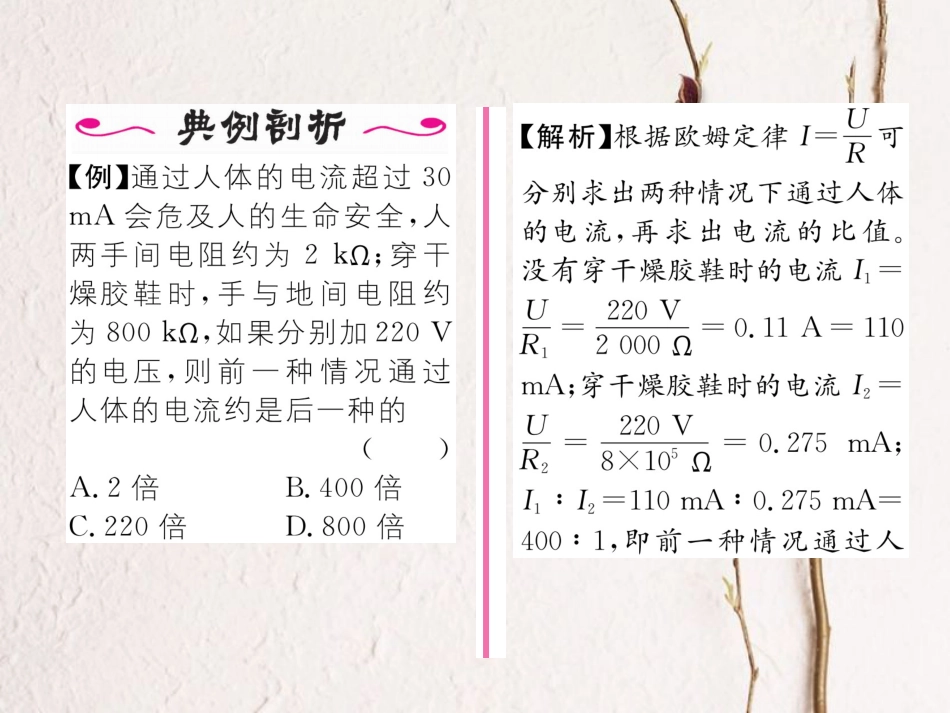 （黔西南地区）九年级物理全册 第19章 生活用电 第3节 安全用电习题课件 （新）新人教_第3页