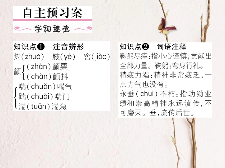 八年级语文上册 第一单元 3《蜡烛》课件 （新版）新人教版[共14页]_第2页